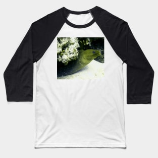 Green Moray Eel Baseball T-Shirt